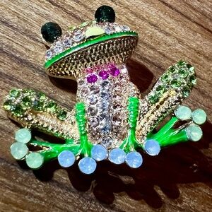 Beautiful Frog Multi Color Rhinestone Jewelry Pin Brooch Colorful